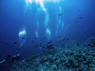 Fototapeta na wymiar Scuba diver descending to the bottom