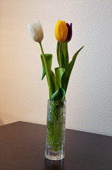 Lovely bright three flowers of tulips of white, purple and yellow color are standing on the table in the crystal vase. Green leaves. Still life. White  background