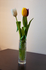 Lovely bright three flowers of tulips of white, purple and yellow color are standing on the table in the crystal vase. Green leaves. Still life. White  background