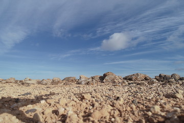 Fototapeta na wymiar caminando entre paisaje desertico
