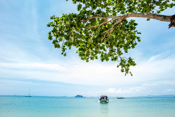Koh-Samui thailand,nice tropical beach thailand,Tropical sea and blue sky 