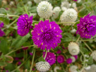 Marsa Alam is amazing diving resort in Egypt