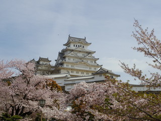 世界遺産の姫路城