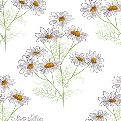Vector floral seamless pattern with summer yellow herbs and chamomile camomile flowers. Black background.