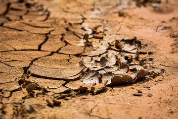 Fototapeta na wymiar cracked soil ground ,desert cracks, Dry soil Arid,drought land. Caused by global warming and deforestation.