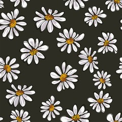Floral flower background with daises chamomiles. Vector.