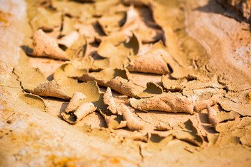 cracked soil ground ,desert cracks, Dry soil Arid,drought land. Caused by global warming and deforestation.