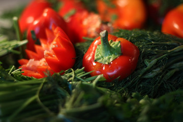 Green and red peppers, dill, parsley