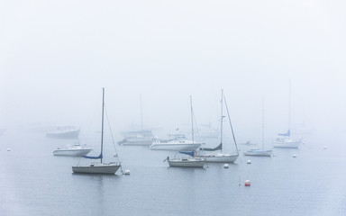 boats at anchor in fog
