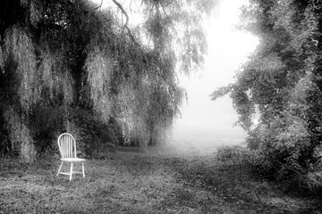 chair in a field black and white