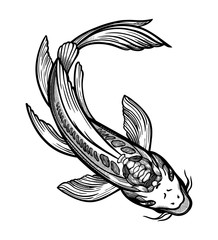 Hand drawn ethnic fish Koi carp - symbol of harmony, wisdom. Vector illustration isolated. Spiritual art for tattoo. Beautifully detailed, serene.