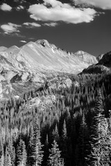 Long's Peak and forest Colorado black and white