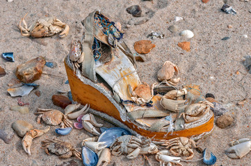 Stillleben am Strand