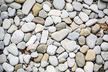 A large number of sea pebbles close-up.Texture.Background.