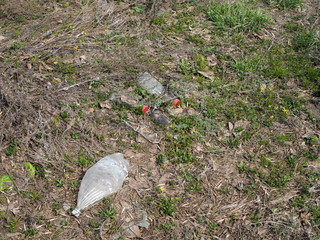 Plastic bottle waste in the forest. Plastic pollution concept