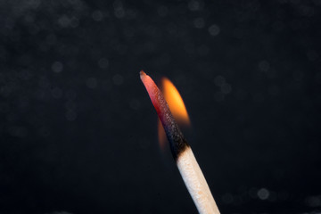 a flame in a match
