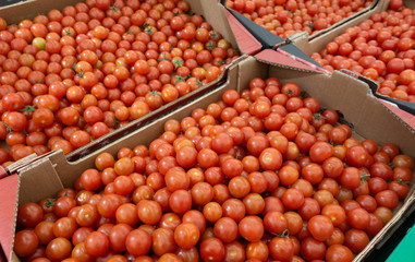 Red cherry tomatoes background, close up. Small tomatoes