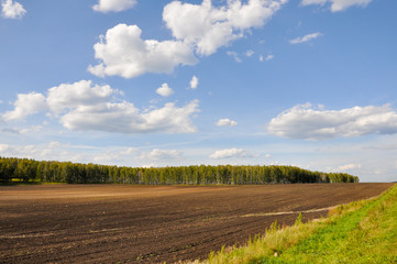 Fototapeta na wymiar Black field with trees far away. Cultivated area. Agriculture. Bright blue sky and green grass