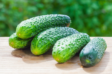 A pile of fresh cucumbers on a wooden table on a background of green garden in bokeh