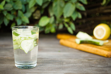  summer refreshing mint and lemon cocktail