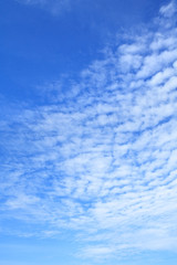 Fototapeta premium White clouds in bright azure sky as background (vertical image orientation)