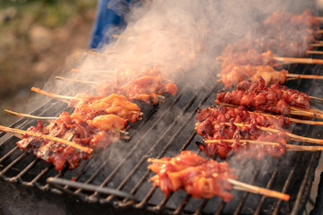 Grilled chicken skewers with smoke.