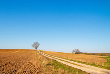 Mecklenburger Ackerlandschaften