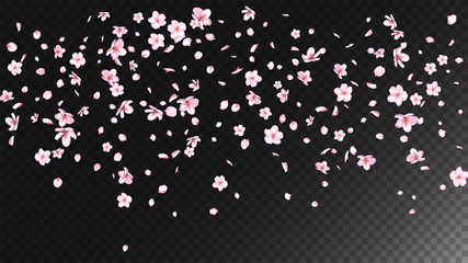 Nice Sakura Blossom Isolated Vector. Pastel Flying 3d Petals Wedding Design. Japanese Blurred Flowers Illustration. Valentine, Mother's Day Watercolor Nice Sakura Blossom Isolated on Black