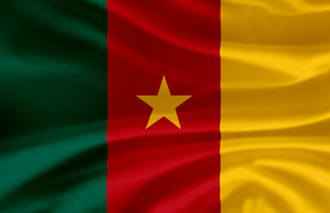 Cameroon waving flag illustration.