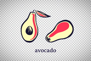 Hand drawn stylized avocado. Vector fruit isolated on transparent background. Graphic illustration for logo or icon
