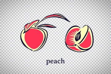 Hand drawn stylized peach. Vector fruit isolated on transparent background. Graphic illustration for logo or icon