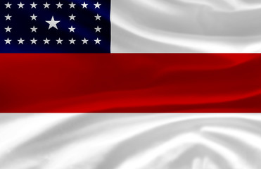 Amazonas waving flag illustration.