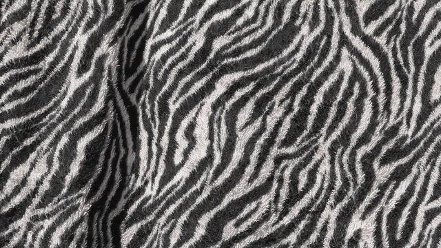 towel zebra print background nobody hd footage 