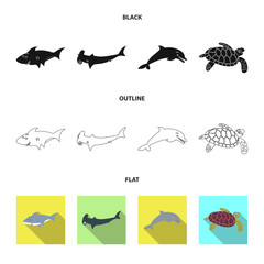 Vector illustration of sea and animal logo. Set of sea and marine stock vector illustration.