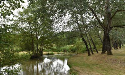 La rivière gambade au milieu des bois à Vernou sur Brenne en Indre et Loire