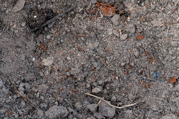 Close up of dry ground.