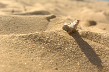 Kleiner Stein auf Sand