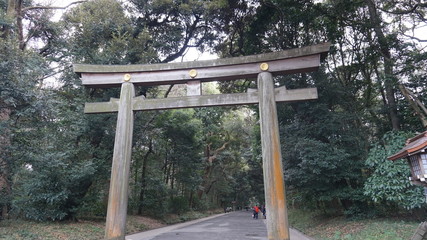 Fototapeta premium 明治神宮鳥居