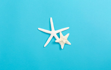 A starfish on a blue paper background