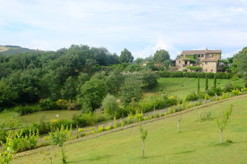 Fototapeta na wymiar countryside in Tuscany