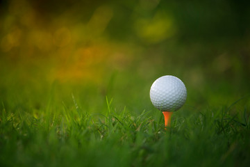 golf ball on tee in a beautiful golf course with morning sunshine