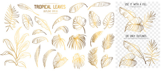 Set of tropical leaves. Hand drawn sketches traced in vector
