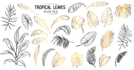 Fototapeta na wymiar Set of tropical leaves. Hand drawn sketches traced in vector