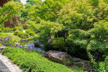 Fototapeta na wymiar 【日本】日本の庭園