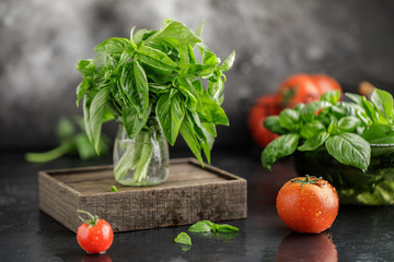 Fresh basil on a stone and dark background. Green basil. Food background. Basil plant for healthy cooking
