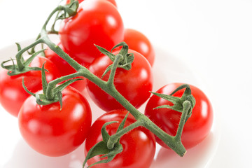 房のミニトマト