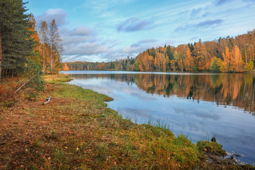 Autumn colorful beautiful landscape. Forest lake surrounded by bright trees