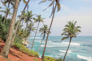 Fototapeta na wymiar seascape with palm trees at coconut tree hill in Mirissa, Sri Lanka 