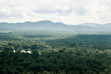 Naklejka premium aerial view forest landscape at lion rock Sigiriya in Sri Lanka 