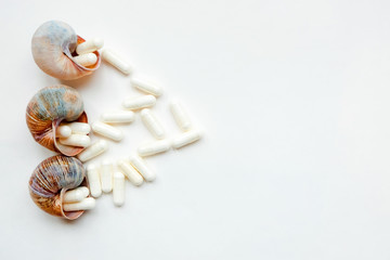 Conchs with vitamin pills on white background
